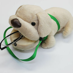 JZZSAKI20-LAB : Animal Eyeglass Case (Labrador Retriever)