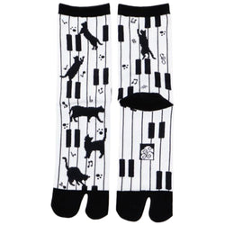 JZZKAYA7JKP9120 : Kaya Women's Piano and Cat Design Tabi Socks