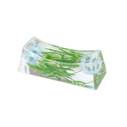 JZZNNFHON-APBL : Japanese Chopstick Rest / Spoon Fork Knife Holder with Real Flower in Acrylic (Asparagus Blue)