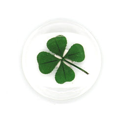 JZZNNFSMG-GY : Japanese Round Magnet with Real Four-Leaf Clover in Acrylic