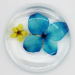JZZNNFPMG-KABL : Japanese Round Magnet with Real Flower in Clear Acrylic (Hydrangea Blue)