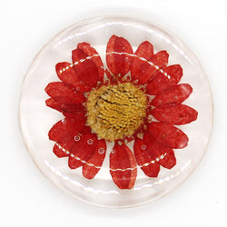 JZZNNFPMG-RD : Japanese Round Magnet with Real Flower in Clear Acrylic (North Pole Red)