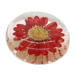 JZZNNFPMG-RD : Japanese Round Magnet with Real Flower in Clear Acrylic (North Pole Red)